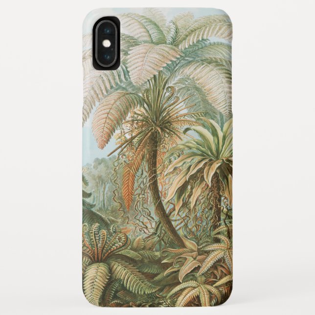 Ferns, Filicinae Laubfarne by Ernst Haeckel Case-Mate iPhone Case (Back)
