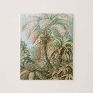 Ferns, Filicinae Laubfarne by Ernst Haeckel Jigsaw Puzzle