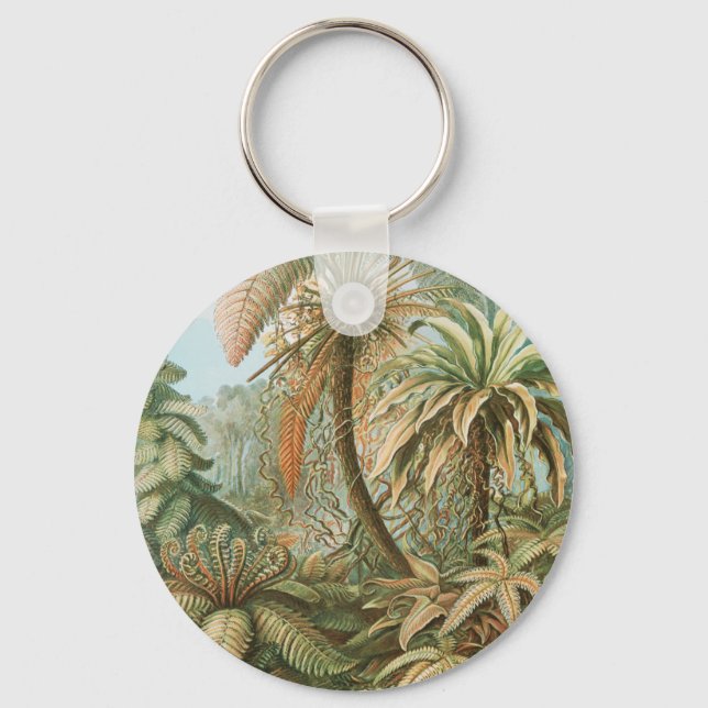 Ferns, Filicinae Laubfarne by Ernst Haeckel Key Ring (Front)