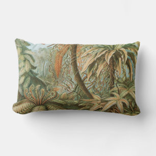 Ferns, Filicinae Laubfarne by Ernst Haeckel Lumbar Cushion