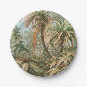 Ferns, Filicinae Laubfarne by Ernst Haeckel Paper Plate