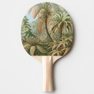 Ferns, Filicinae Laubfarne by Ernst Haeckel Ping Pong Paddle