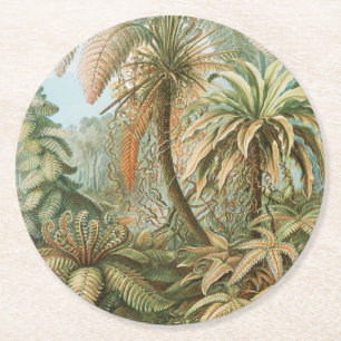 Ferns, Filicinae Laubfarne by Ernst Haeckel Round Paper Coaster