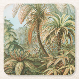 Ferns, Filicinae Laubfarne by Ernst Haeckel Square Paper Coaster