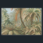 Ferns, Filicinae Laubfarne by Ernst Haeckel Tissue Paper<br><div class="desc">Ferns,  Filicinae Laubfarne by Ernst Haeckel Tissue Paper</div>