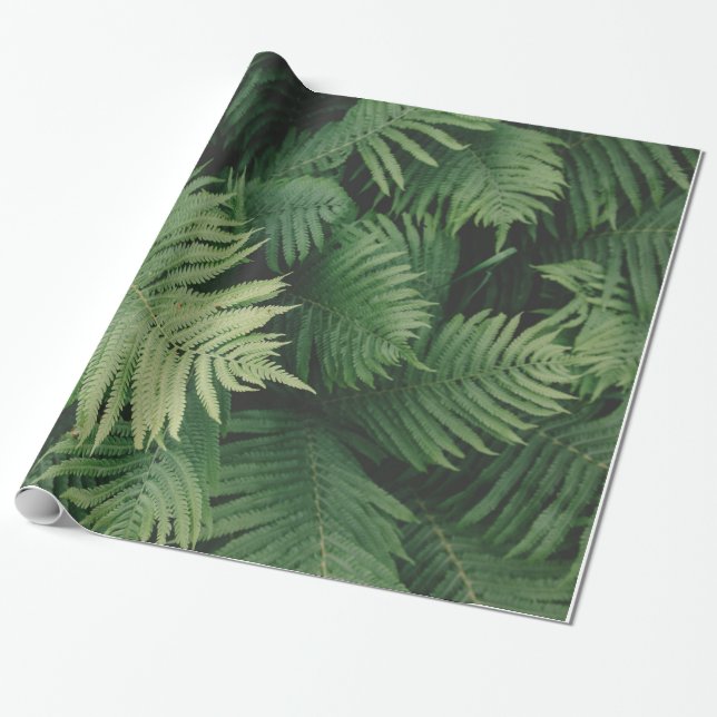 Ferns in Cool Green Shade Wrapping Paper (Unrolled)