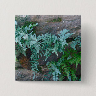 Ferns in Philadelphia 15 Cm Square Badge