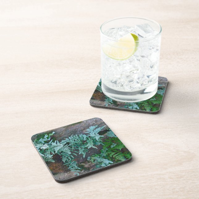 Ferns in Philadelphia Coaster (Right Side)