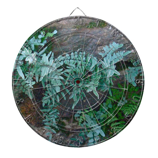 Ferns in Philadelphia Dartboard (Front)