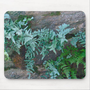 Ferns in Philadelphia Mouse Pad