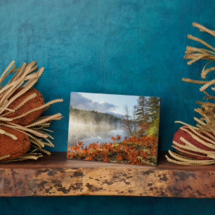 Ferns on Shoreline   Paradise, Michigan Plaque