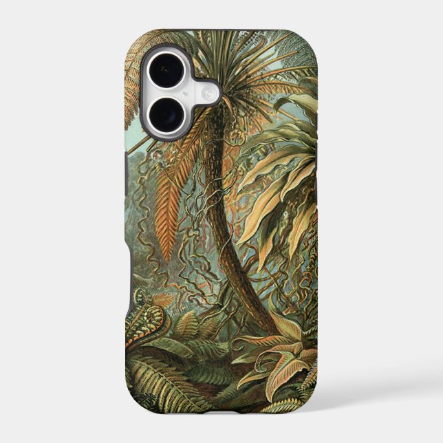 Ferns Palm Tree Antique Botanical Ferns Art (Back)