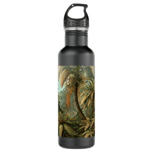 Ferns Palm Tree Antique Botanical Ferns Art 710 Ml Water Bottle