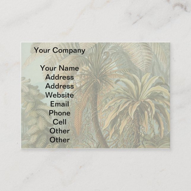 Ferns Palm Tree Antique Botanical Ferns Art Business Card (Front)