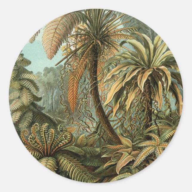 Ferns Palm Tree Antique Botanical Ferns Art Classic Round Sticker (Front)