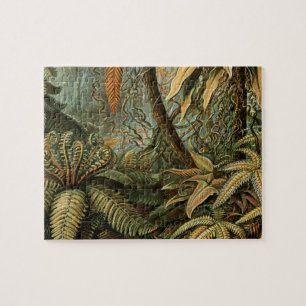 Ferns Palm Tree Antique Botanical Ferns Art Jigsaw Puzzle