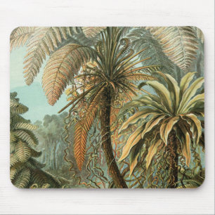 Ferns Palm Tree Antique Botanical Ferns Art Mouse Pad