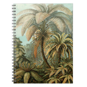 Ferns Palm Tree Antique Botanical Ferns Art Notebook