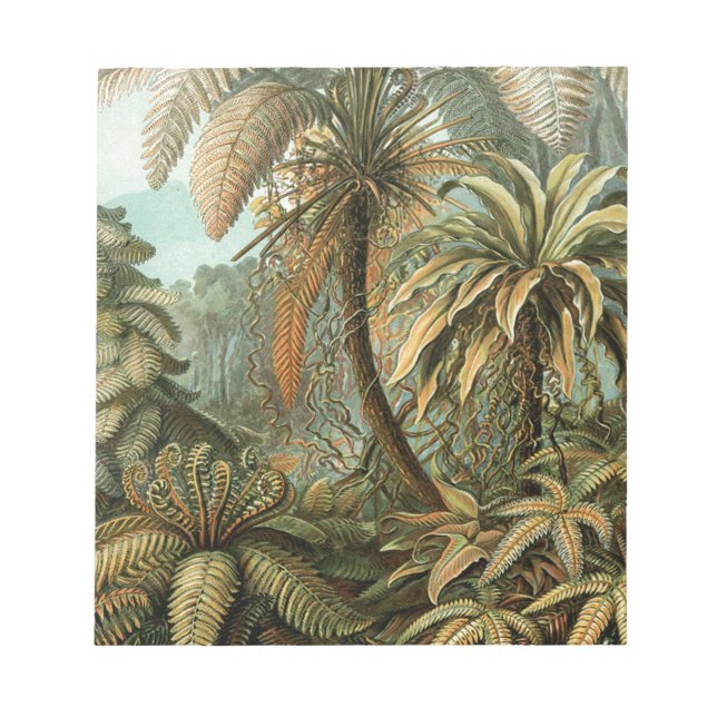 Ferns Palm Tree Antique Botanical Ferns Art Notepad (Front)