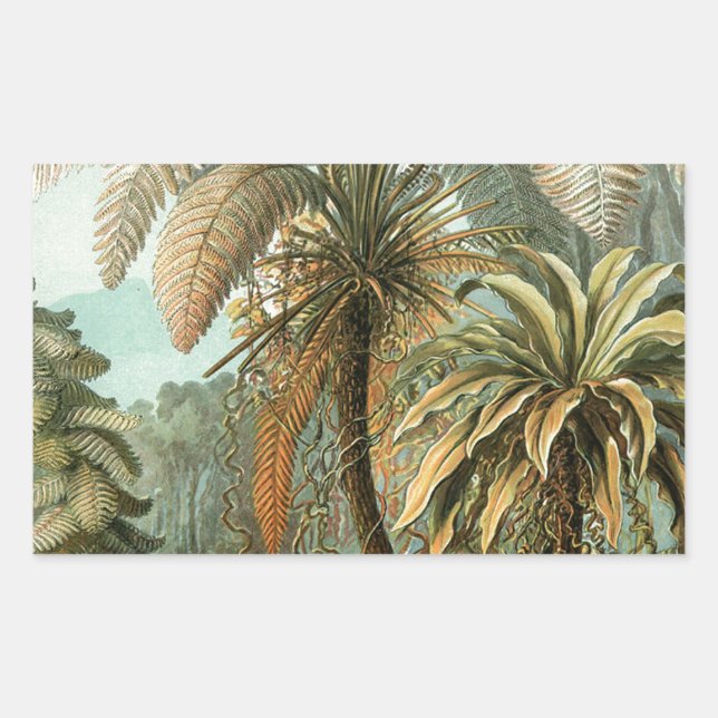 Ferns Palm Tree Antique Botanical Ferns Art Rectangular Sticker (Front)