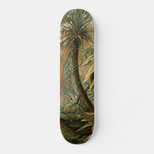 Ferns Palm Tree Antique Botanical Ferns Art Skateboard