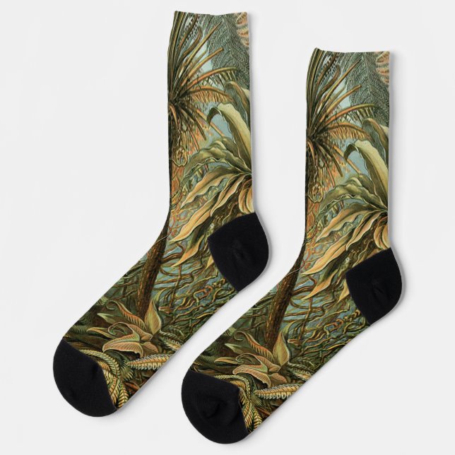 Ferns Palm Tree Antique Botanical Ferns Art Socks (Left)