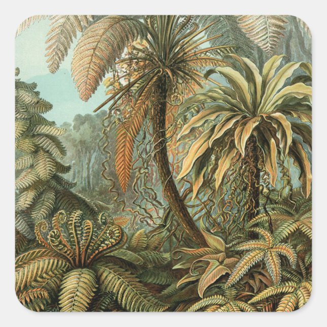 Ferns Palm Tree Antique Botanical Ferns Art Square Sticker (Front)