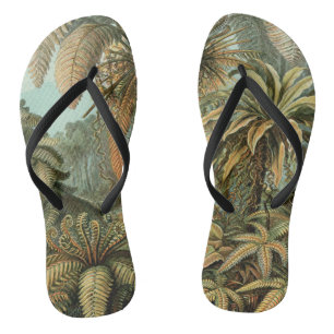 Ferns Palm Tree Antique Botanical Ferns Art Thongs