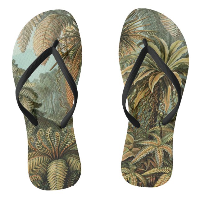 Ferns Palm Tree Antique Botanical Ferns Art Thongs (Footbed)