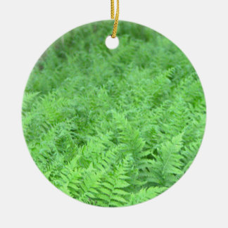 Ferns Photo Ornament