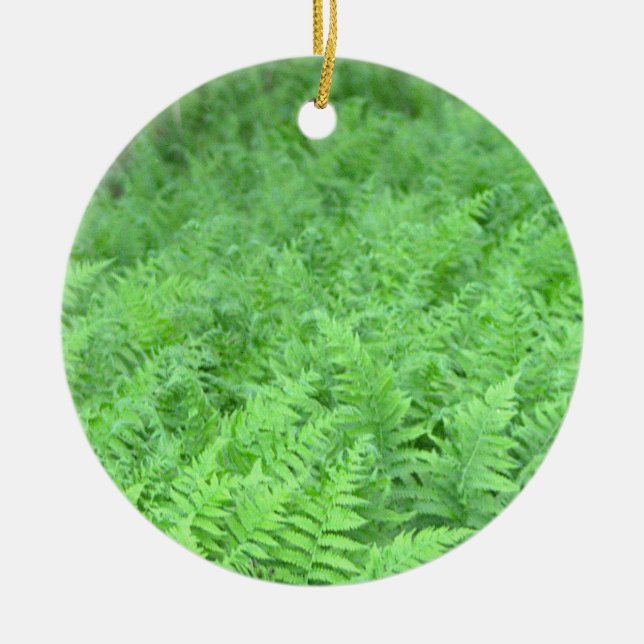 Ferns Photo Ornament  (Front)