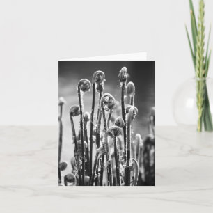 Ferns Unfurlling Card