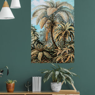 Ferns Vintage Plants by Ernst Haeckel Poster
