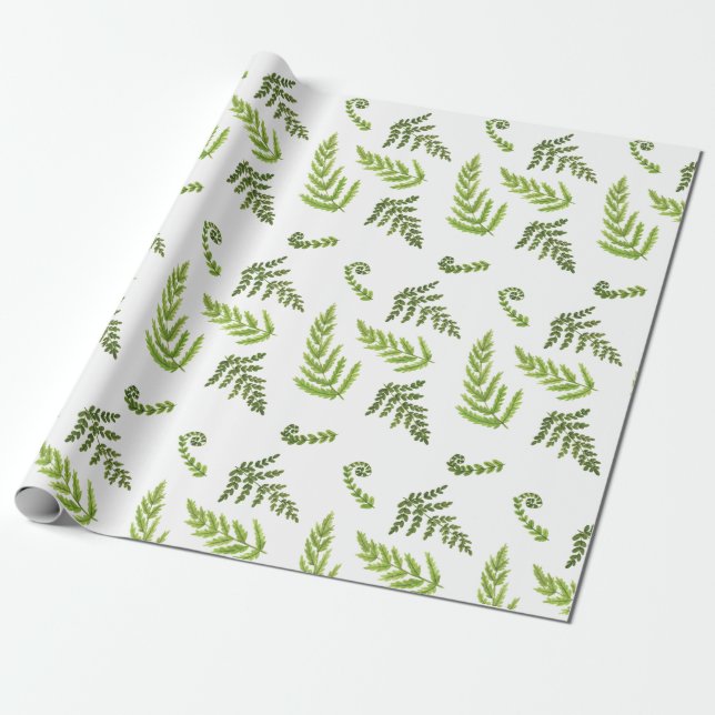 Ferns Wrapping Paper (Unrolled)