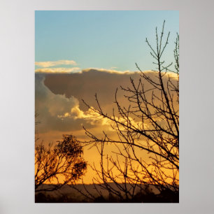 Ferntree Gully Skyscapes Poster