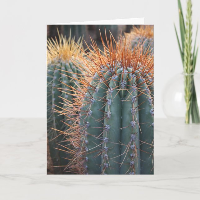 Ferocactus card 2 (Front)