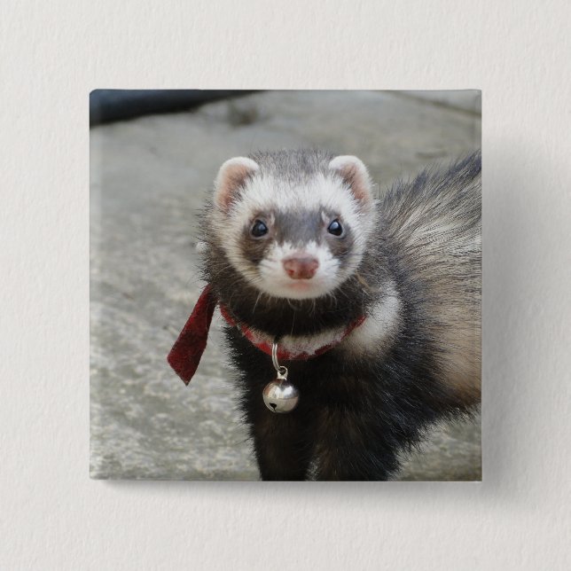 Ferret 15 Cm Square Badge (Front)