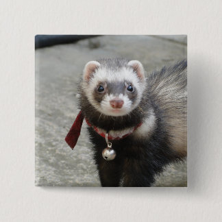 Ferret 15 Cm Square Badge