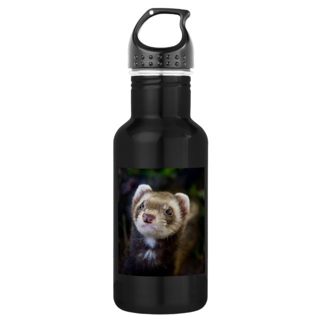 Ferret 532 Ml Water Bottle (Front)