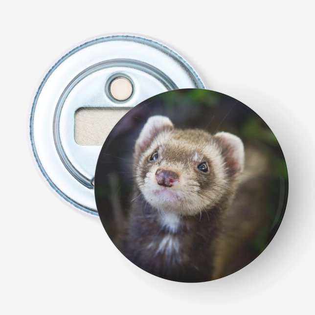 Ferret Bottle Opener (Front)