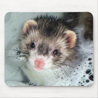 ferret bubble bath mouse pad