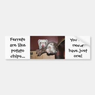 Ferret Bumper Sticker