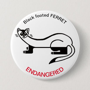 Ferret - button