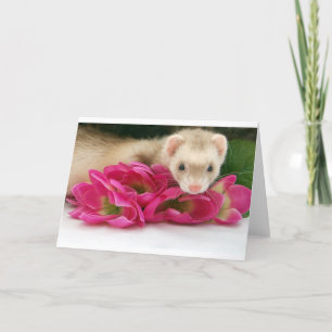 Ferret Card