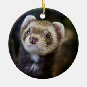 Ferret Ceramic Tree Decoration