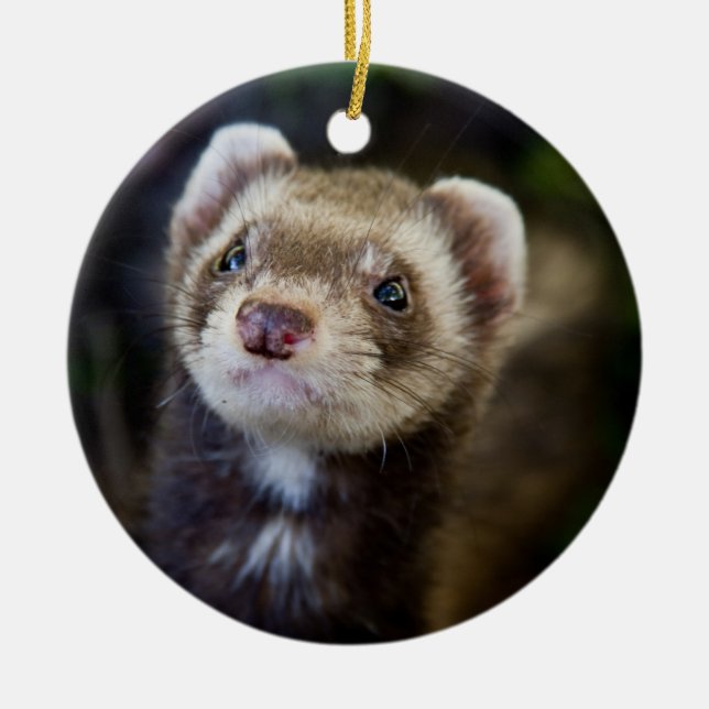 Ferret Ceramic Tree Decoration (Front)