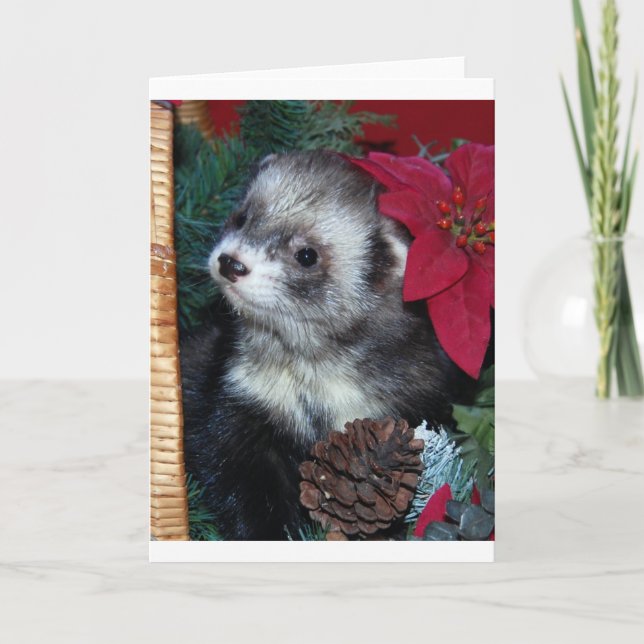 Ferret Christmas Card (Front)