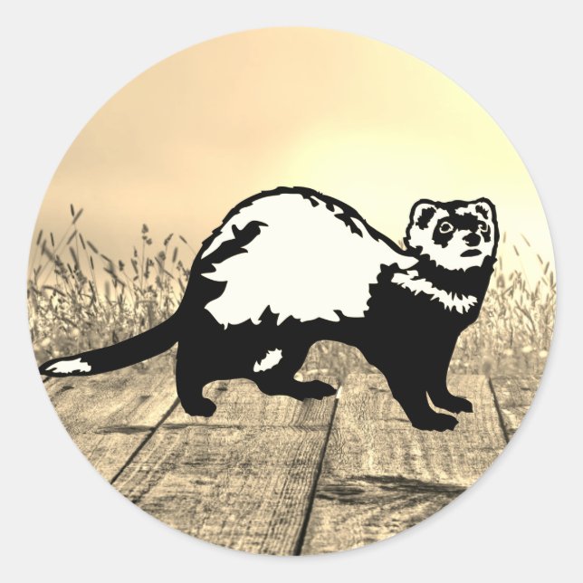 Ferret  classic round sticker (Front)