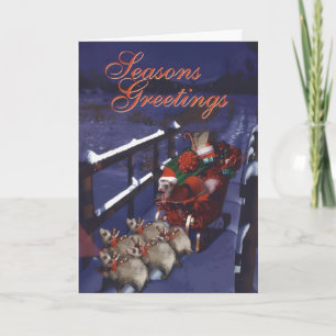 Ferret Claus on the Move Card