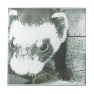 Ferret Cute Picture Ceramic Tile